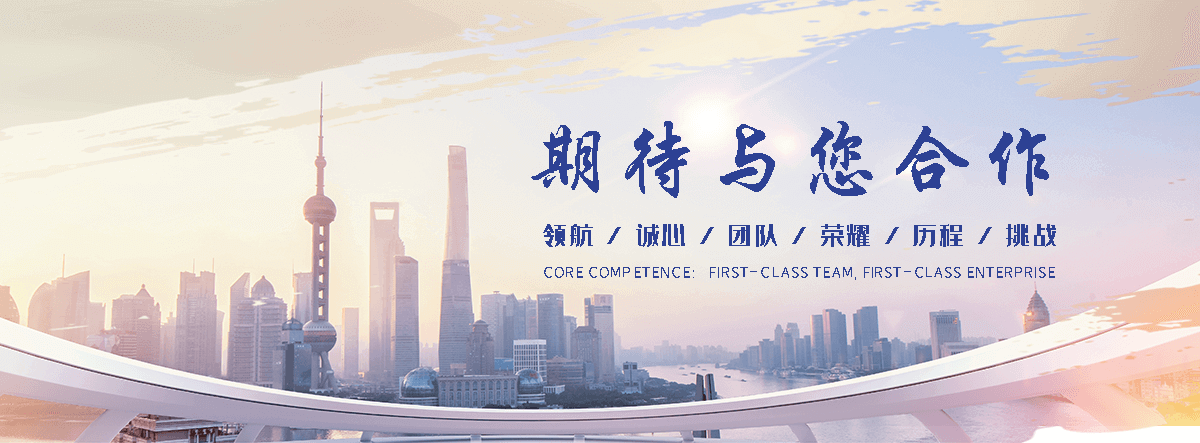 岳阳海狮租赁公司